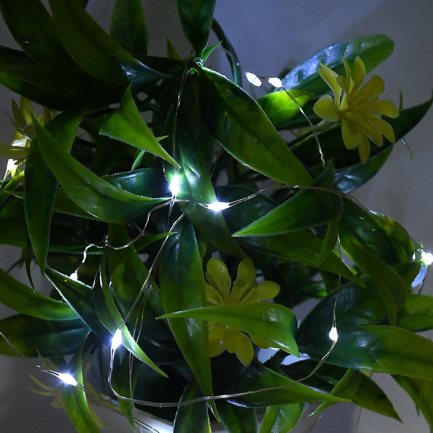 Warm White LED Cork Bottle String Lights Warm White LED Cork Bottle String Lights